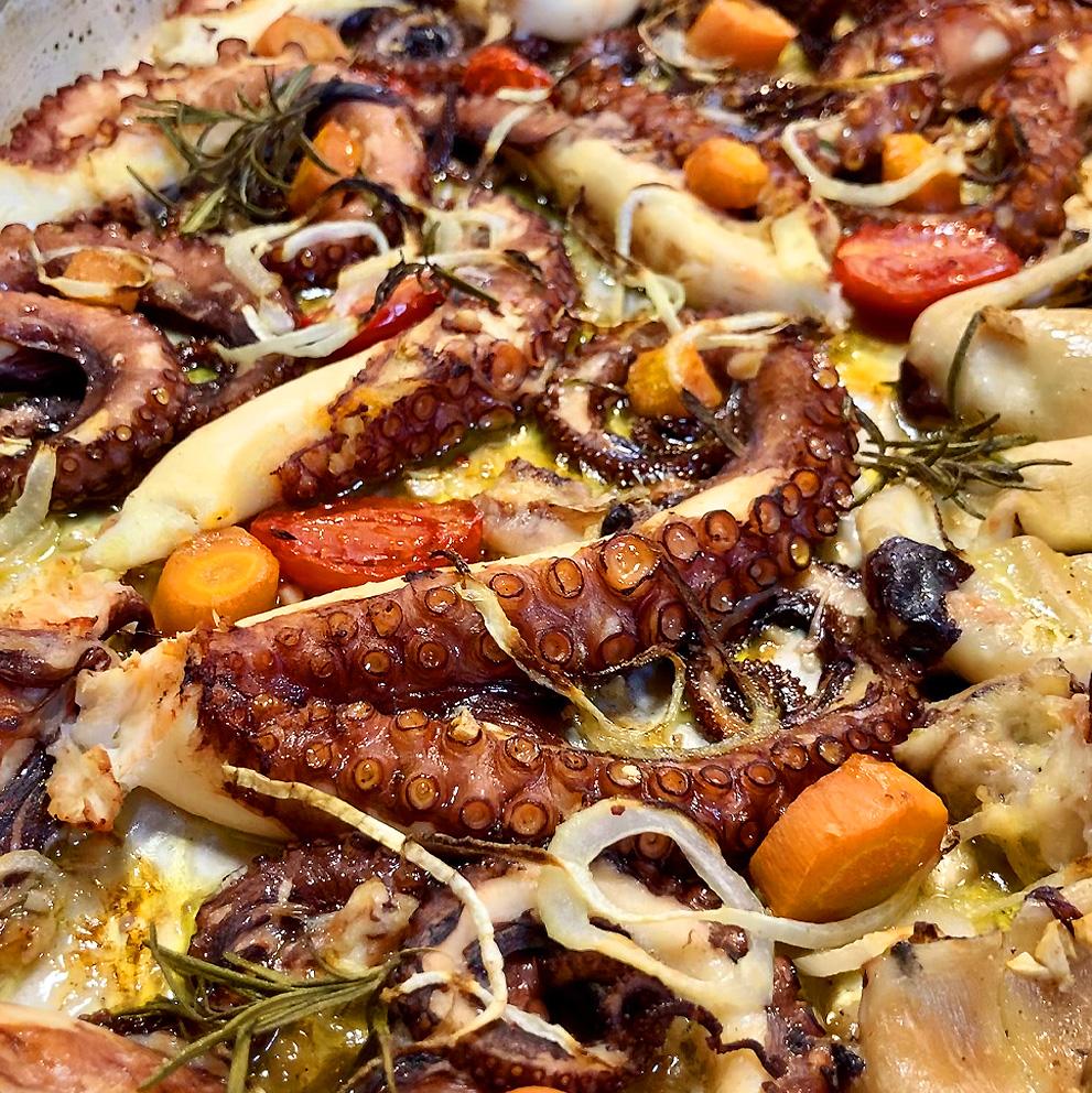 octopus