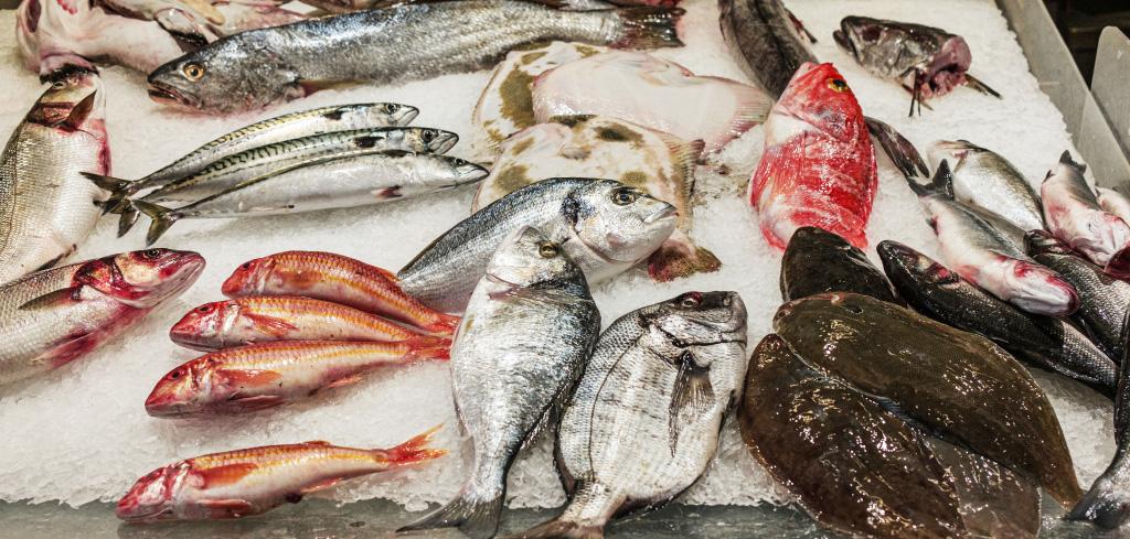 Fisch zubereiten: verschiedene Gararten und praktische Tipps