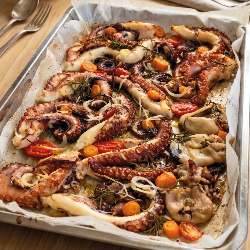 octopus