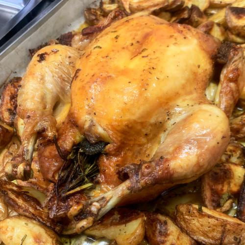 pollo