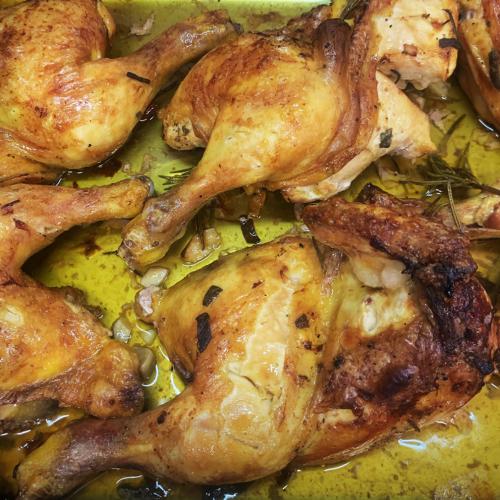 pollo