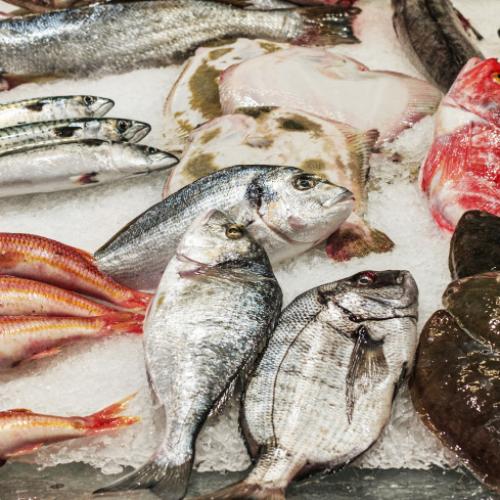 Come cucinare il pesce: le diverse cotture e i consigli pratici